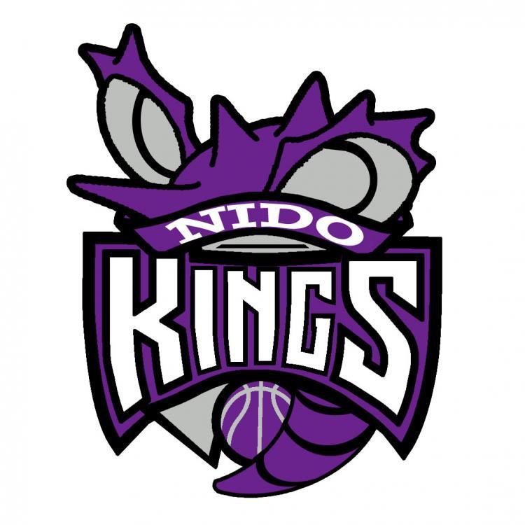 Sacramento Kings Pokemon logo DIY iron on transfer (heat transfer)